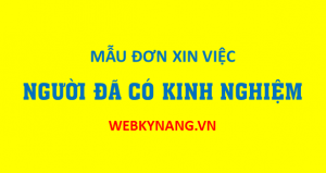 Read more about the article Đơn xin việc mẫu cho người có kinh nghiệm (download free)