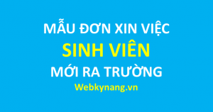 Read more about the article Đơn xin việc cho sinh viên mới ra trường – download word