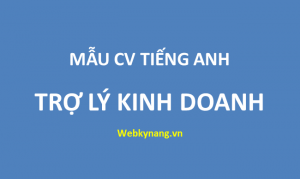 Read more about the article CV xin việc trợ lý kinh doanh bằng tiếng anh – MẪU HAY